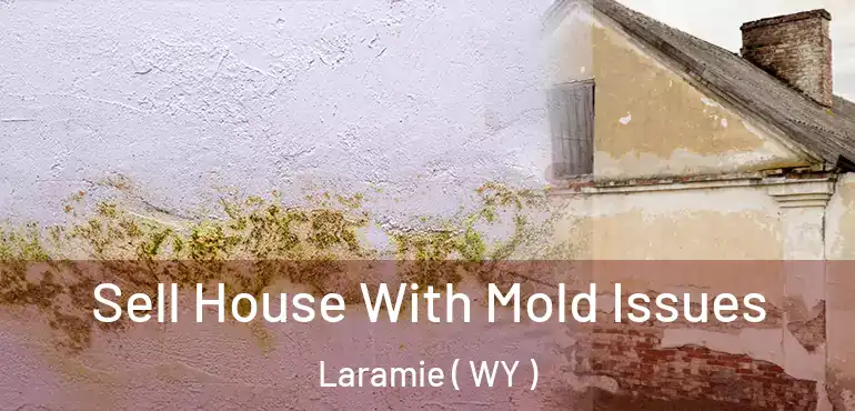 Sell House With Mold Issues Laramie ( WY )