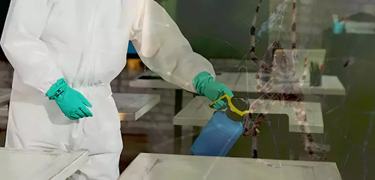 Why Buyers Still Want Homes With Pest Infestations in Wyoming, WY?