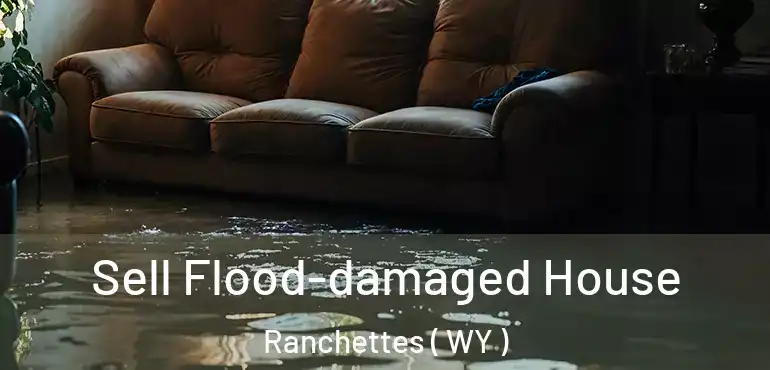  Sell Flood-damaged House Ranchettes ( WY )