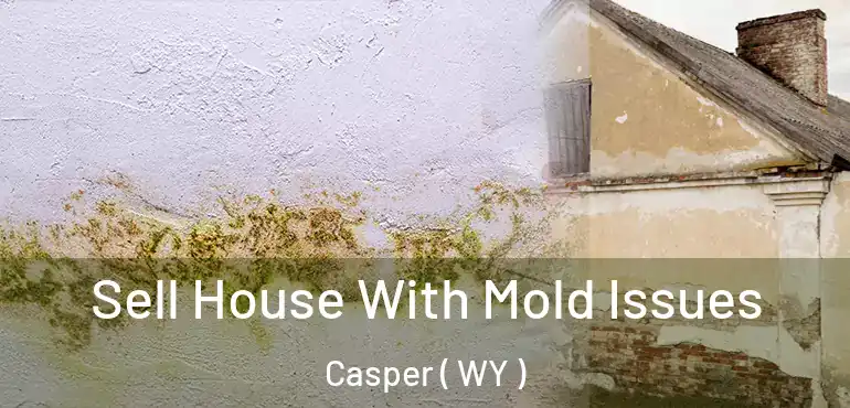  Sell House With Mold Issues Casper ( WY )