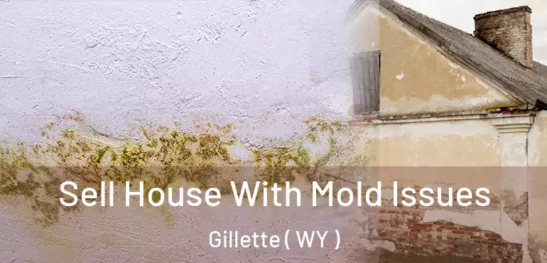  Sell House With Mold Issues Gillette ( WY )