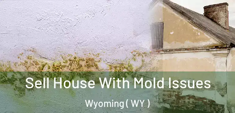  Sell House With Mold Issues Wyoming ( WY )